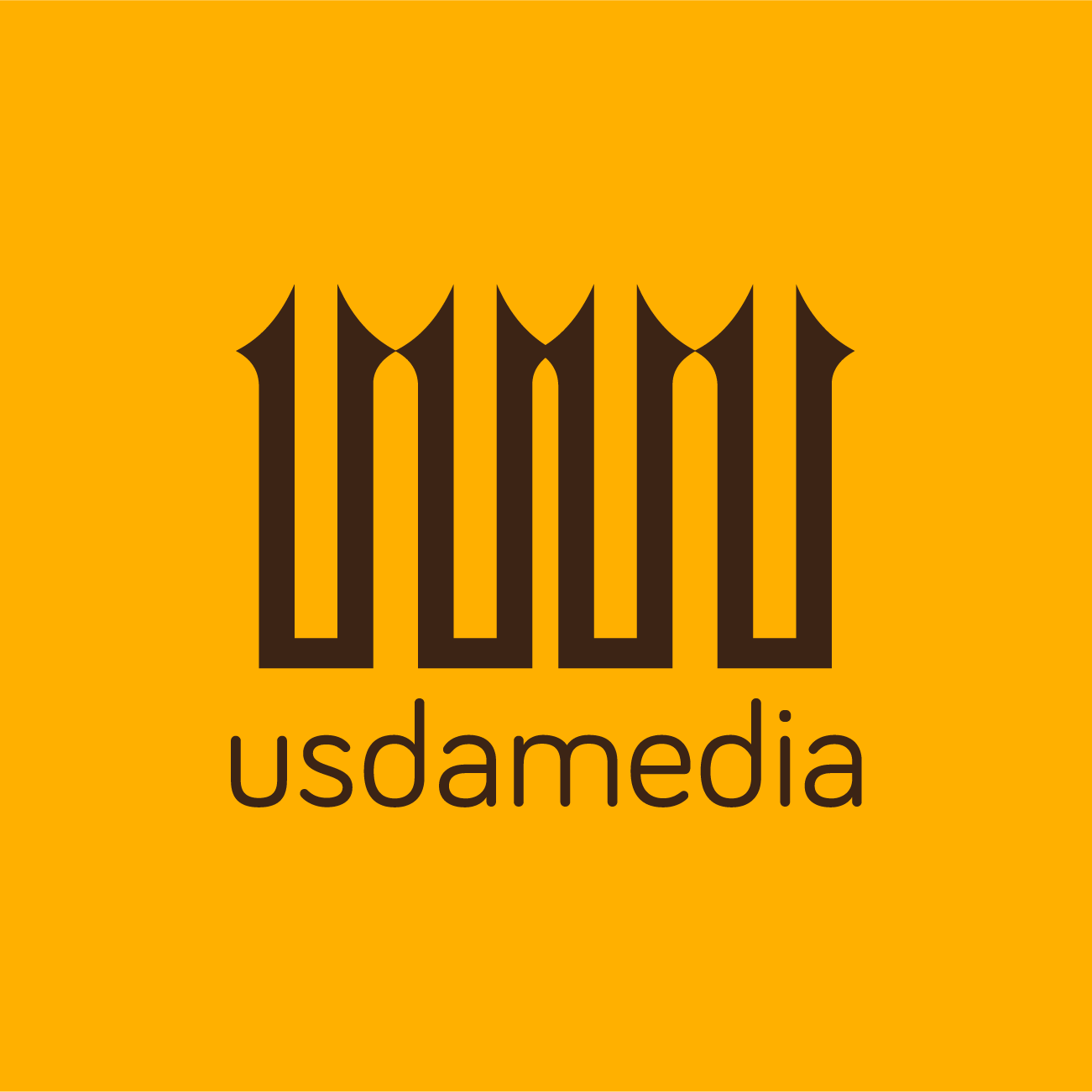 usdamedia sarawak digital agency